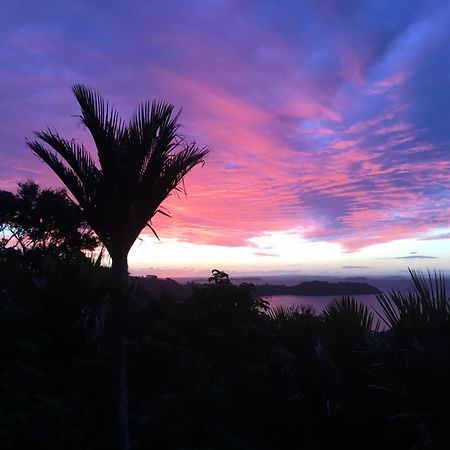 Nikau Apartments Waiheke Island Onetangi Esterno foto